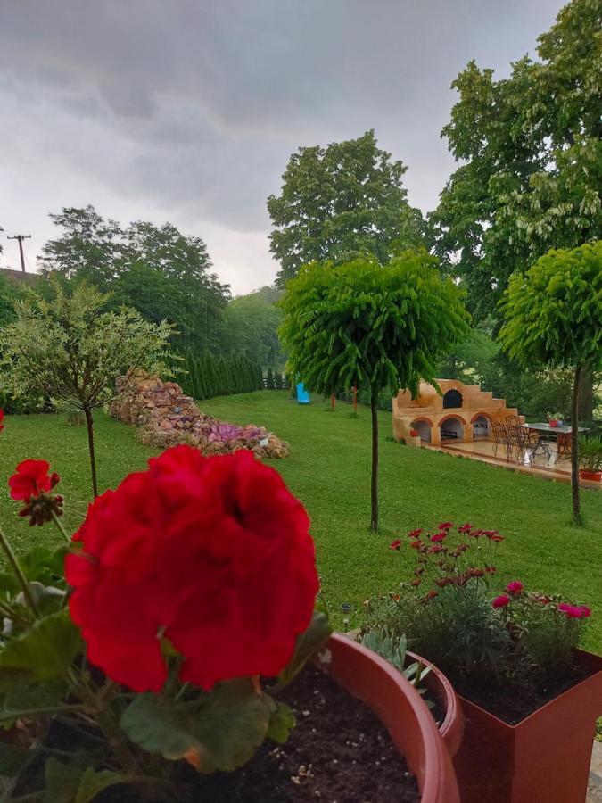 Kuca Za Uzivanje Валево Экстерьер фото